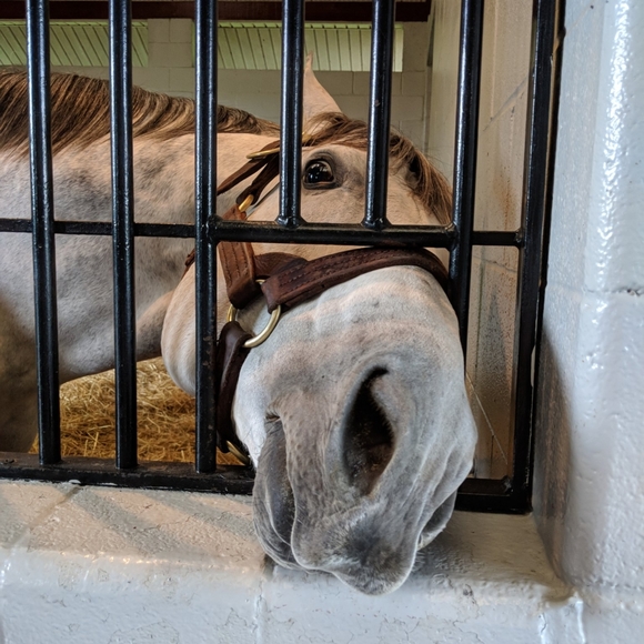 Meet your Posher, Kim - Picture 6 of 7